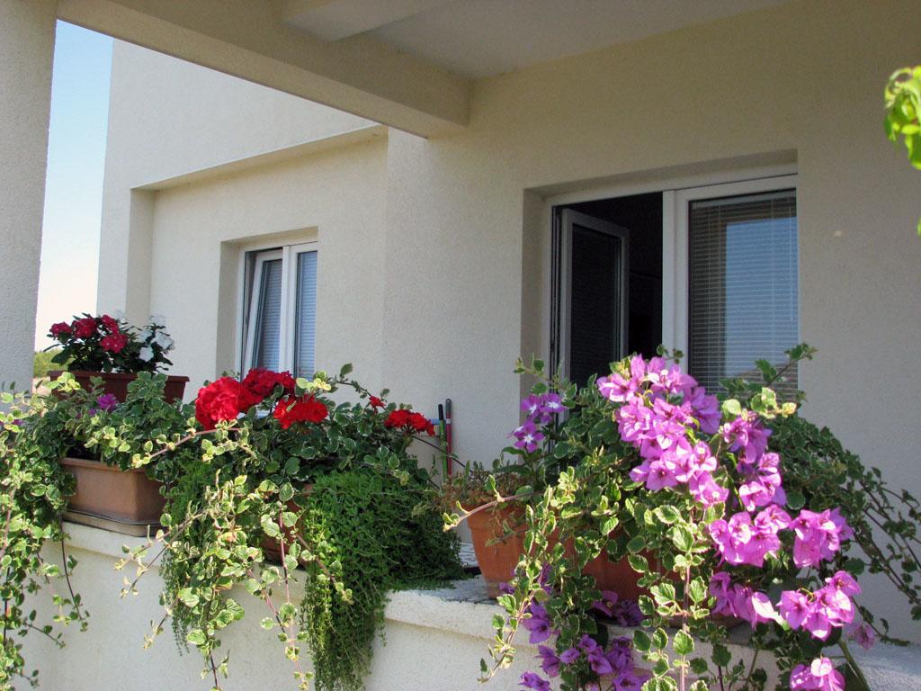 Apartments 255 Grebaštica Εξωτερικό φωτογραφία